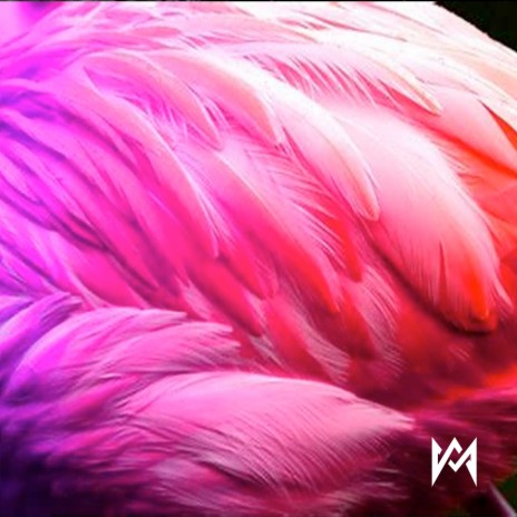 Tu Boca (El Flamingo) ft. H Marquez