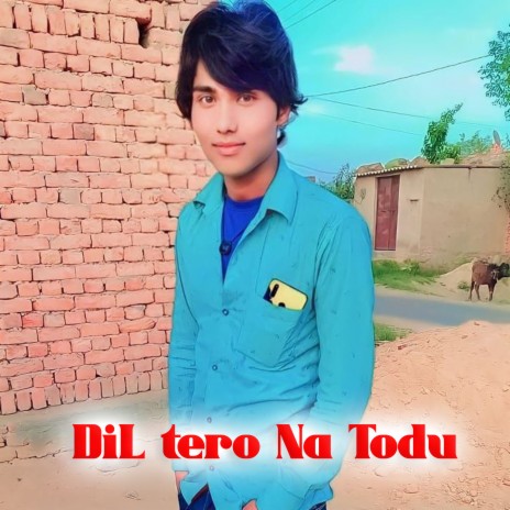 Dil Tero Na Todu | Boomplay Music