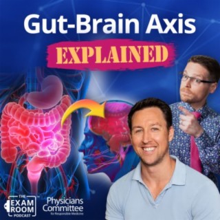 Your Gut: A Second Brain | Dr. Will Bulsiewicz Q&A