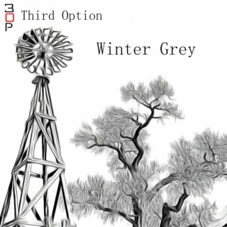 Winter Grey