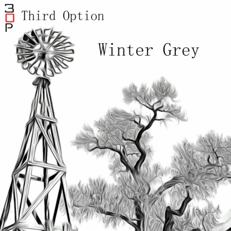 Winter Grey | Boomplay Music