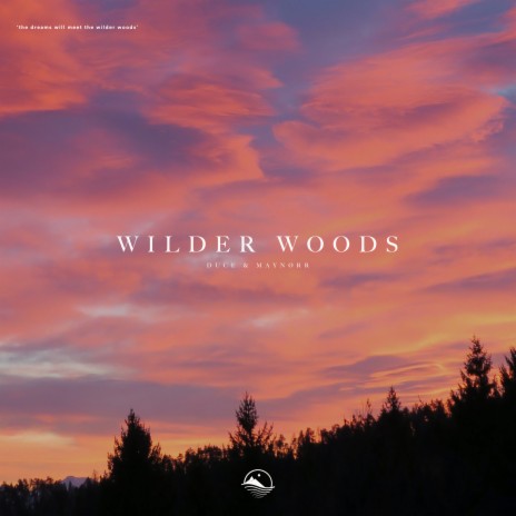 Wilder Woods ft. Maynørr | Boomplay Music