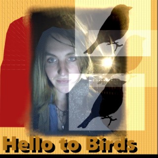 Hello to Birds lyrics | Boomplay Music