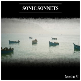 Sonic Sonnets Selection 22