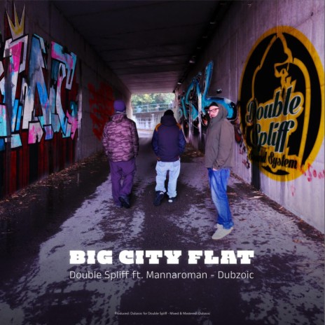 Big City Flat ft. MannaroMan & Dubzoic | Boomplay Music