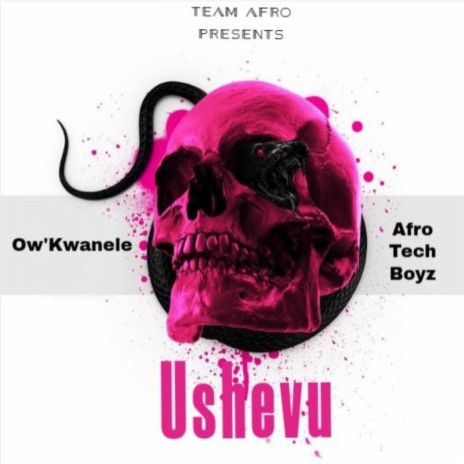 Ushevu ft. Ow'Kwanele | Boomplay Music