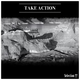 Take Action Selection 22