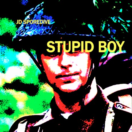 Stupid Boy | Boomplay Music