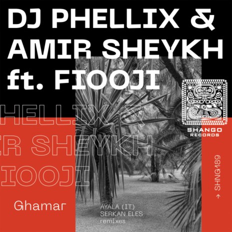 Ghamar ft. Amir Sheykh & Fiooji | Boomplay Music