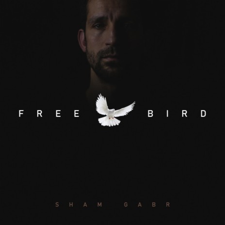 Free Bird | Boomplay Music