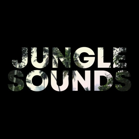 Jungle Rain | Boomplay Music