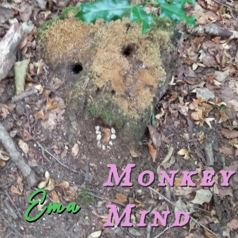 Monkey Mind | Boomplay Music