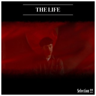 The Life Selection 22