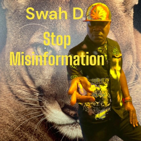 Stop Misinfiormation | Boomplay Music