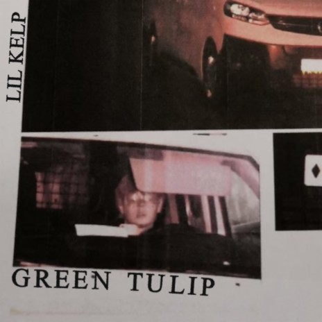 green tulip | Boomplay Music