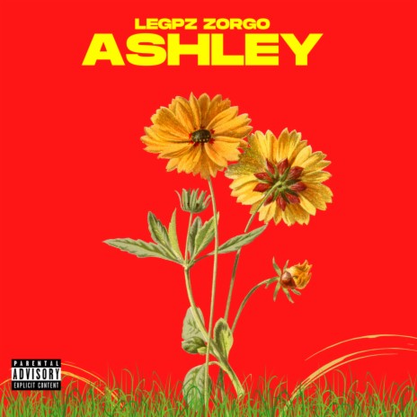 Ashley | Boomplay Music