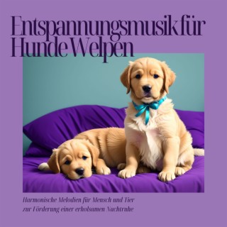 Entspannungsmusik für Hunde Welpen - Harmonische Melodien für Mensch und Tier zur Förderung einer erholsamen Nachtruhe