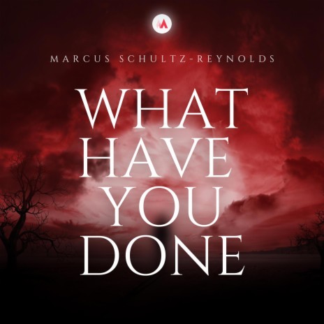 What Have You Done | Boomplay Music