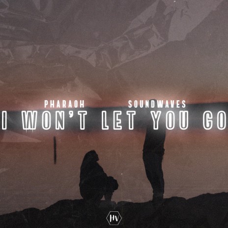 I Won't Let You Go ft. Soundwaves | Boomplay Music