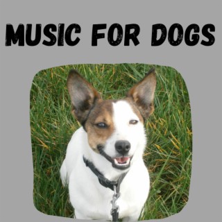 Music For Dogs (Vol.44)