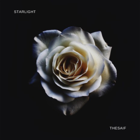 Starlight ft. VRN | Boomplay Music