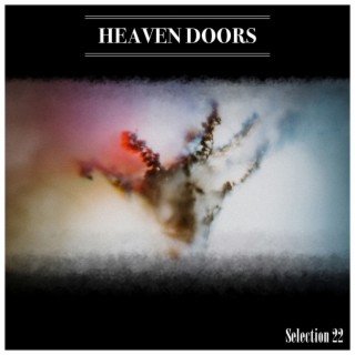 Heaven Doors Selection 22