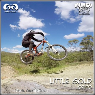 Little Gold Orito