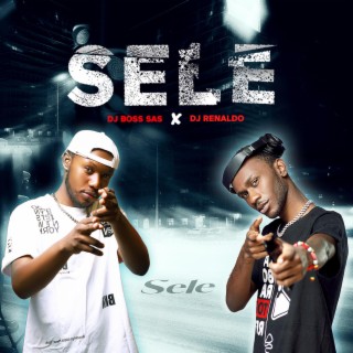 Sele ft. DJ Renaldo lyrics | Boomplay Music