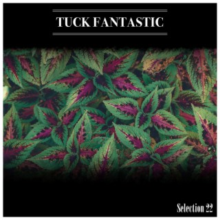 Tuck Fantastic Selection 22