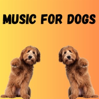 Music For Dogs (Vol.45)