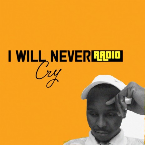 I Will Never Cry | Boomplay Music