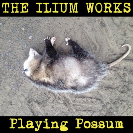 Playing Possum