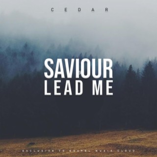 Lead Me