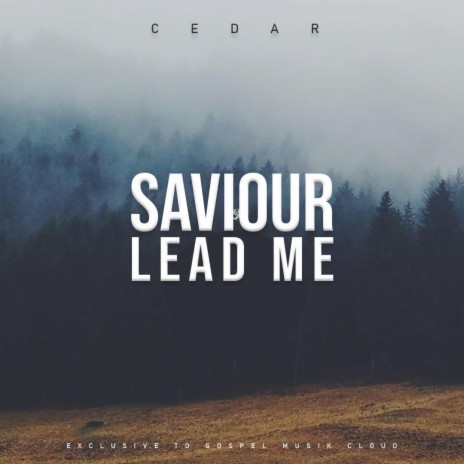 Lead Me | Boomplay Music