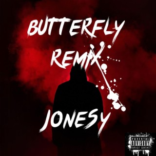 Butterfly remix