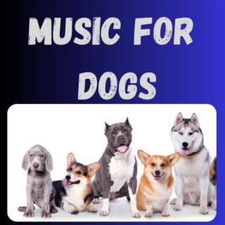 Music For Dogs (Vol.54)
