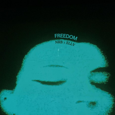 Freedom ft. ELLV | Boomplay Music