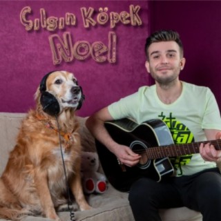 Çılgın Köpek Noel (Crazy Dog Noel) [feat. Noel Aliciyan]