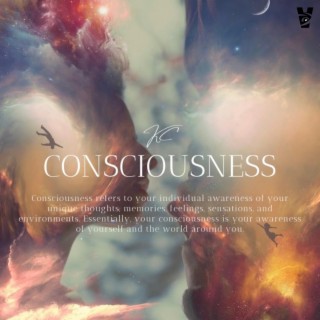 Consciousness