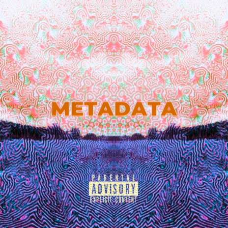 metadata ft. Flamezz