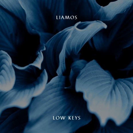 Low Keys | Boomplay Music