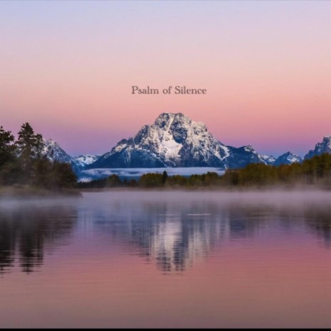 Psalm of Silence (Acoustic) | Boomplay Music