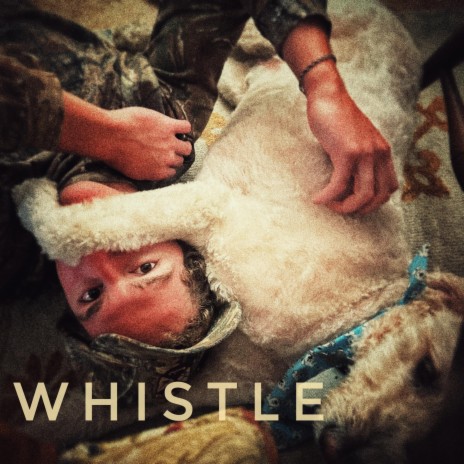 whistle | Boomplay Music