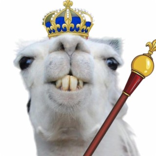 Llama Queen