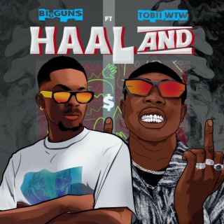 Haaland ft. Tobii WTW lyrics | Boomplay Music