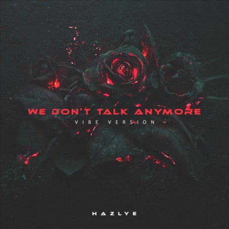 WE DON'T TALK ANYMORE (Vibe Version)