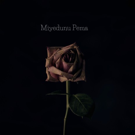 Miyedunu Pema ft. Miyuru Somarathne | Boomplay Music