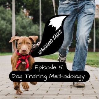 Dog Training Methodology