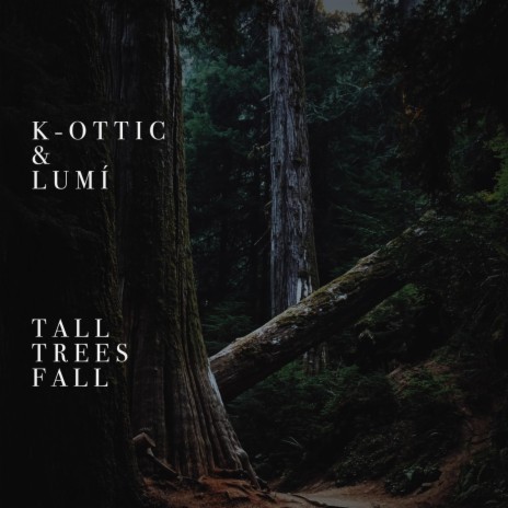 Tall Trees Fall (feat. Lumí) | Boomplay Music