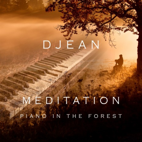 MEDITATION piano in the forest | Boomplay Music